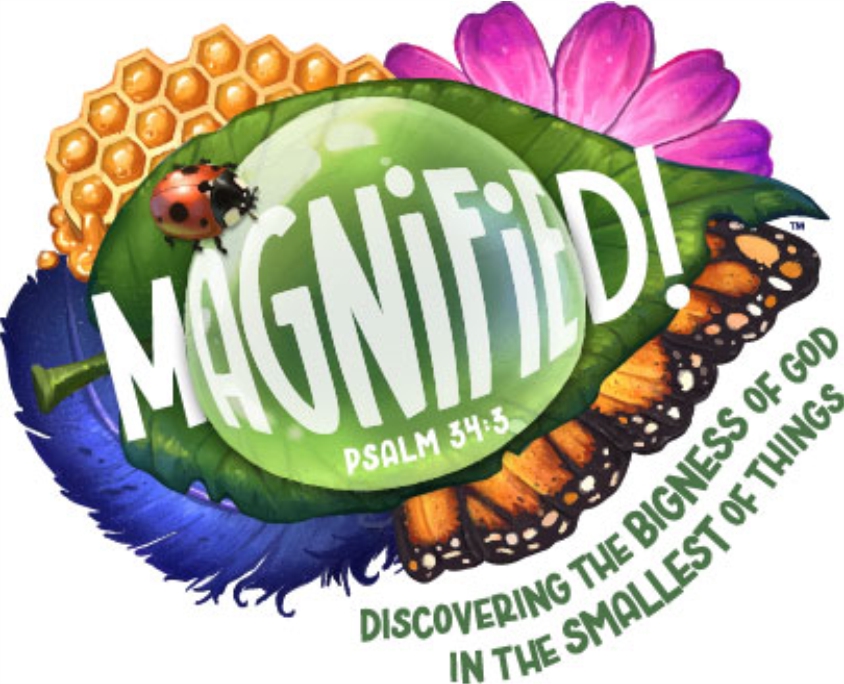 Magnified